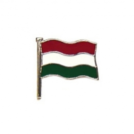 Magyar zászló, jelvény
